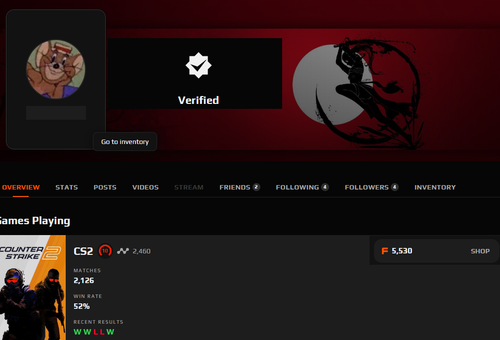 FACEIT ACCOUNT (10 LVL) 2460 ELO-photo-5