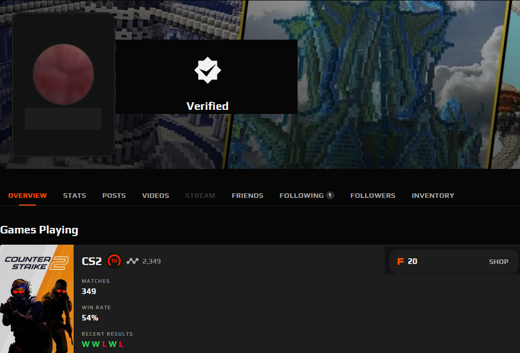 FACEIT ACCOUNT (10 LVL) 2349 ELO-photo-1