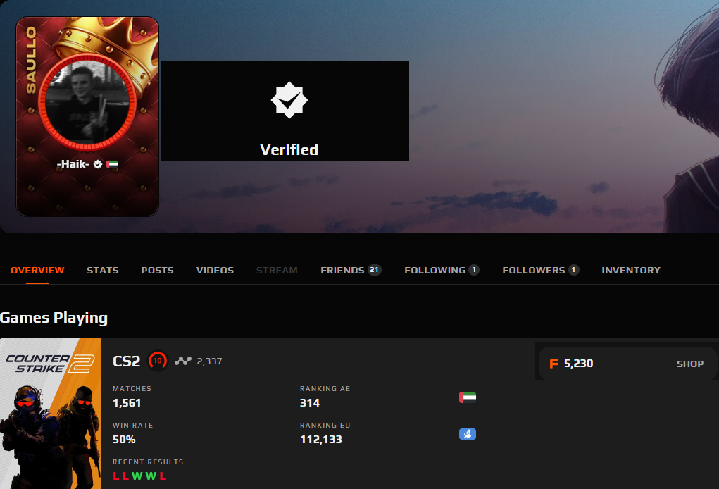 PRIME FACEIT ACCOUNT (10 LVL) 2337 ELO-photo-1