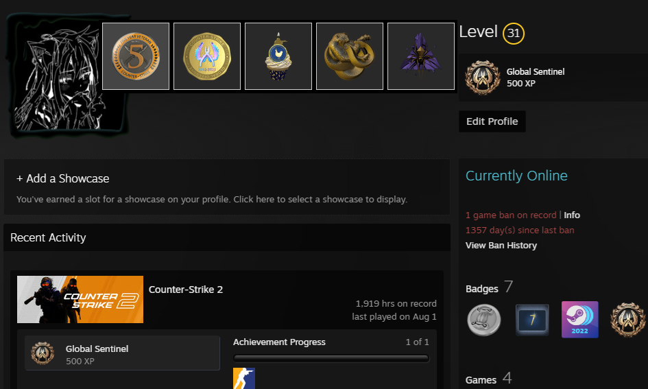 PRIME FACEIT ACCOUNT (10 LVL) 2101 ELO-photo-7