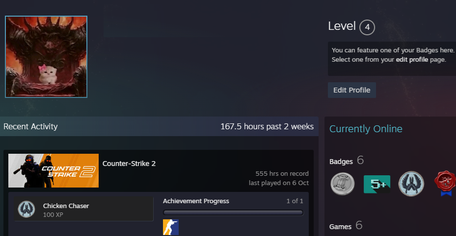 PRIME FACEIT ACCOUNT (10 LVL) 2006 ELO-photo-7
