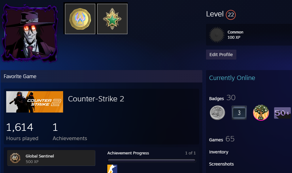 FACEIT ACCOUNT (8 LVL) 1746 ELO-photo-7