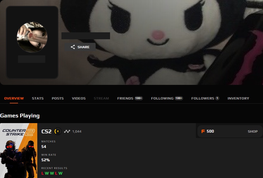 CS2 FACEIT ACCOUNT (4 LVL) 1044 ELO-photo-1