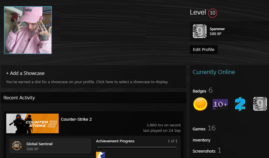 CS2 FACEIT ACCOUNT (4 LVL) 1027 ELO-photo-3