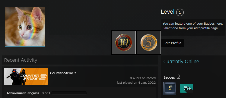 VERIFIED FACEIT ACCOUNT (3 LVL) 831 ELO-photo-7