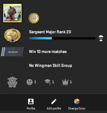 PRIME ACCOUNT 1 MEDALS (PREMIER READY)-photo-6