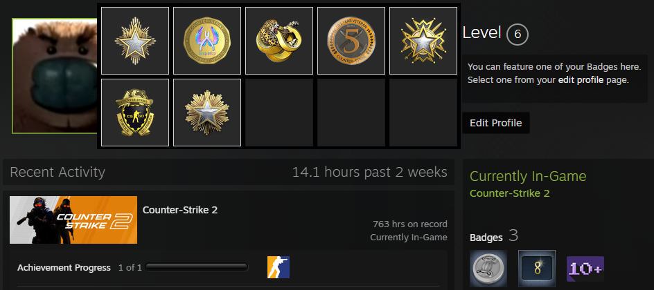 PRIME PREMIER ACCOUNT 25,576 PTS-photo-5