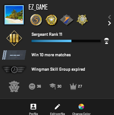 CS2 PRIME ACCOUNT 6 MEDALS-photo-3